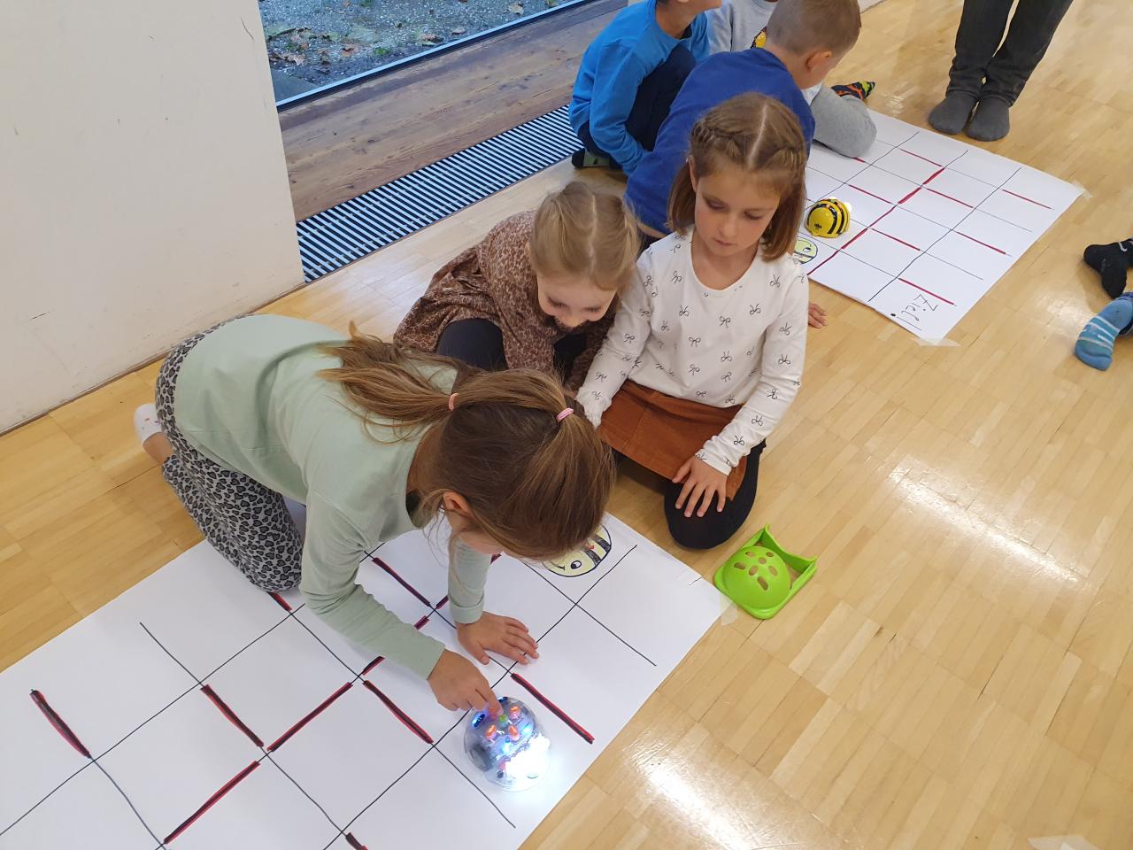 Bee-Bots und Blue-Bots