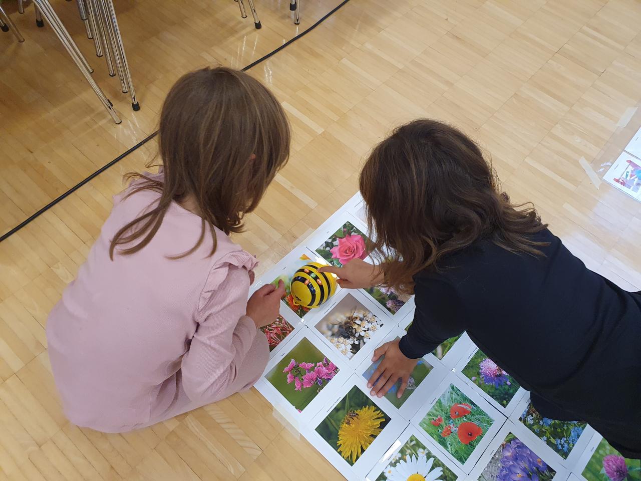 Bee-Bots und Blue-Bots