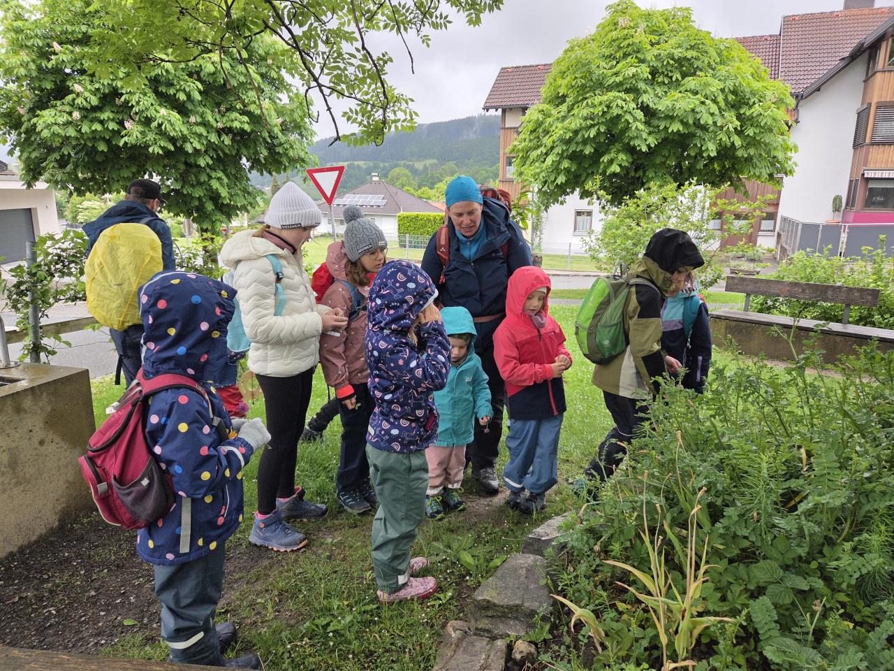 Biotopexkursion 2026 in Satteins