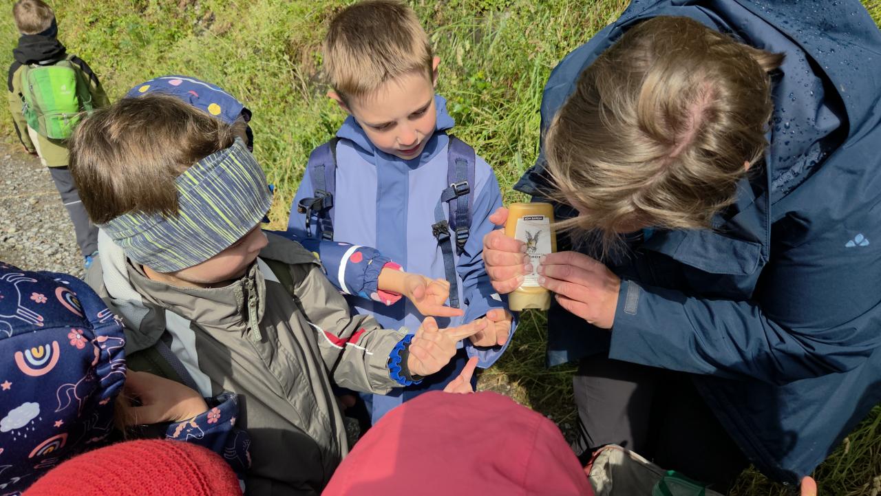 Biotopexkursion 2026 in Satteins