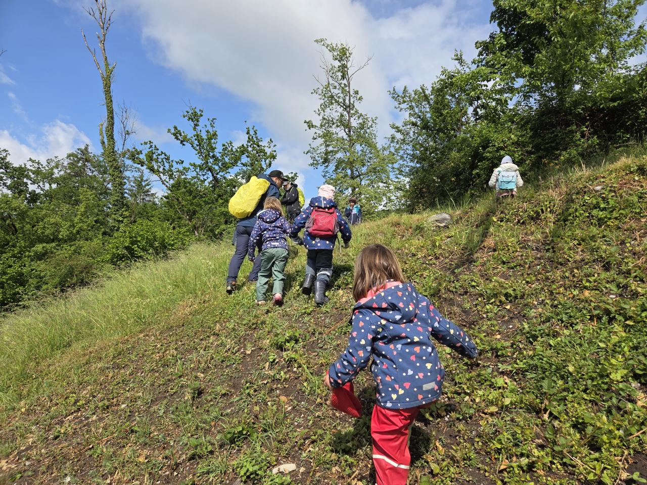 Biotopexkursion 2026 in Satteins